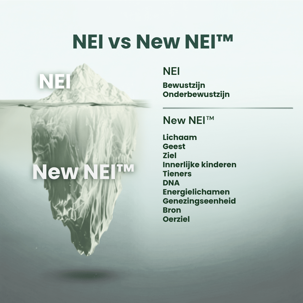 New NEI: wat is het verschil met oude NEI